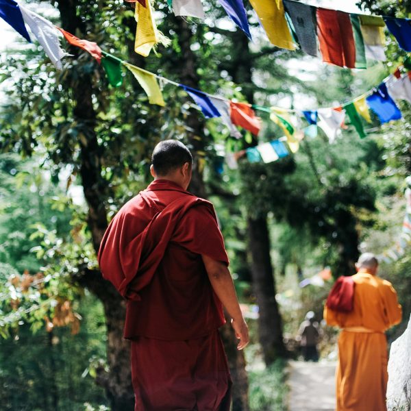 pexels-dejongwout-750895